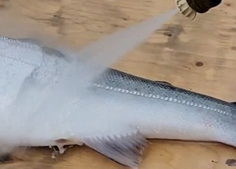 ترفند ساده برای پاک کردن ماهی