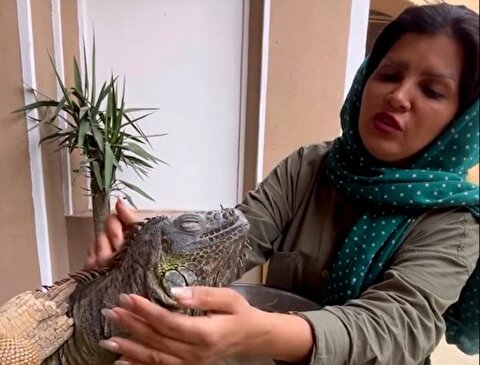 رفتار عجیب زن ایرانی با یک مارمولک