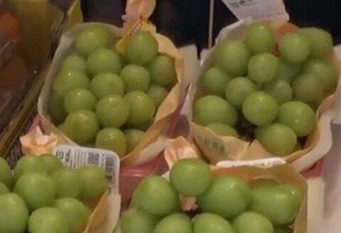 چگونه چین و کره، انگور ژاپنی را دزدیدند؟