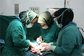عمل همزمان «سزارین» و «اسلیو» امکان پذیر نیست/ گول سودجویان را نخورید!