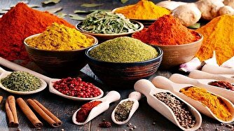 جزئیات یک گزارش نیمه محرمانه در مورد گیاهان دارویی! / واکنش یک مقام سابق به تخلف عطاری‌ها