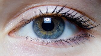 واکنش یک متخصص به تبلیغ میلیاردی/ گرفتاران مشروب و قربانیان مشروبات تقلبی بخوانند