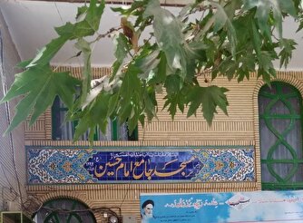 درخت 500 ساله کوشک زر شناسنامه ندارد؛ یک درخت و روایت یک تفاوت