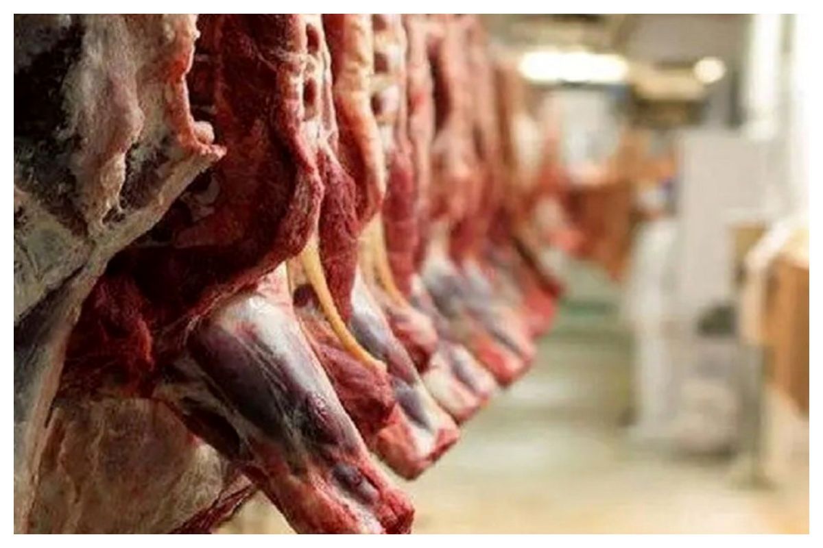 خبر خوش: ارزانی در راه است