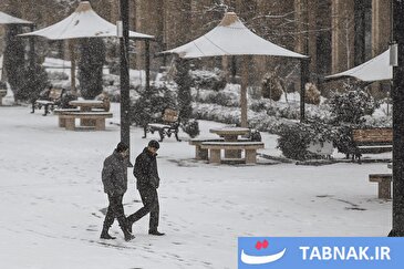 عکس: زنجان سفید پوش شد