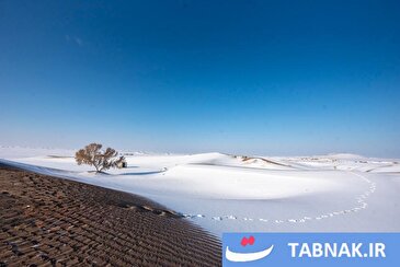 عکس: سپید پوش شدن کویر یزد