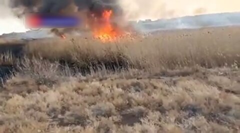 تصاویر آتش سوزی پرند از نزدیک