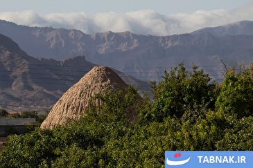 عکس: چهار یخچال سمنان
