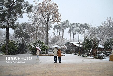 عکس | تصاویر زیبا از بارش برف در شیراز پس از ۱۲ سال