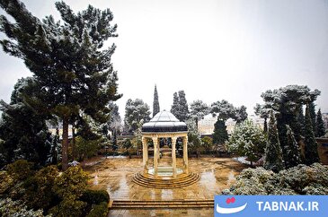 عکس: بارش برف زمستانی در شیراز