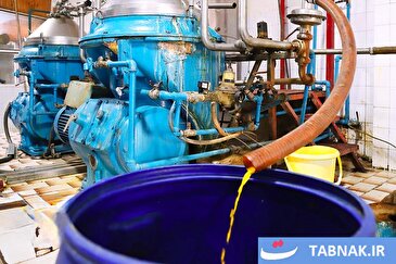 عکس: فراوری کُنسانتره پرتقال در رامسر