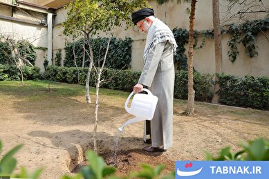 عکس: روز درختکاری؛ یادگار مردی که ریشه در ایمان داشت.
