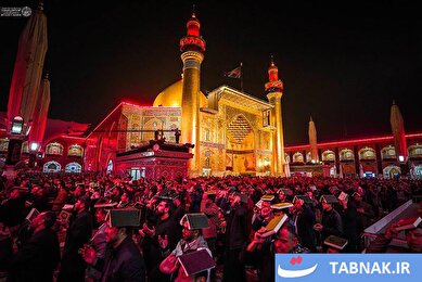 عکس: نخستین شب قدر در حرم امیرالمومنین