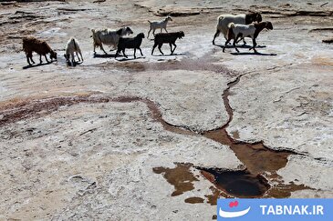 عکس: تپه نمکی میرعمر