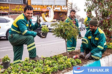 عکس: تهران؛ هفته پایانی سال ۱۴۰۴