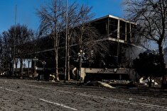 نامه ۱۰ هزار ورزشکار برای تعلیق ورزش آمریکا و اسرائیل/ ۳ درخواست از نهادهای بین‌المللی