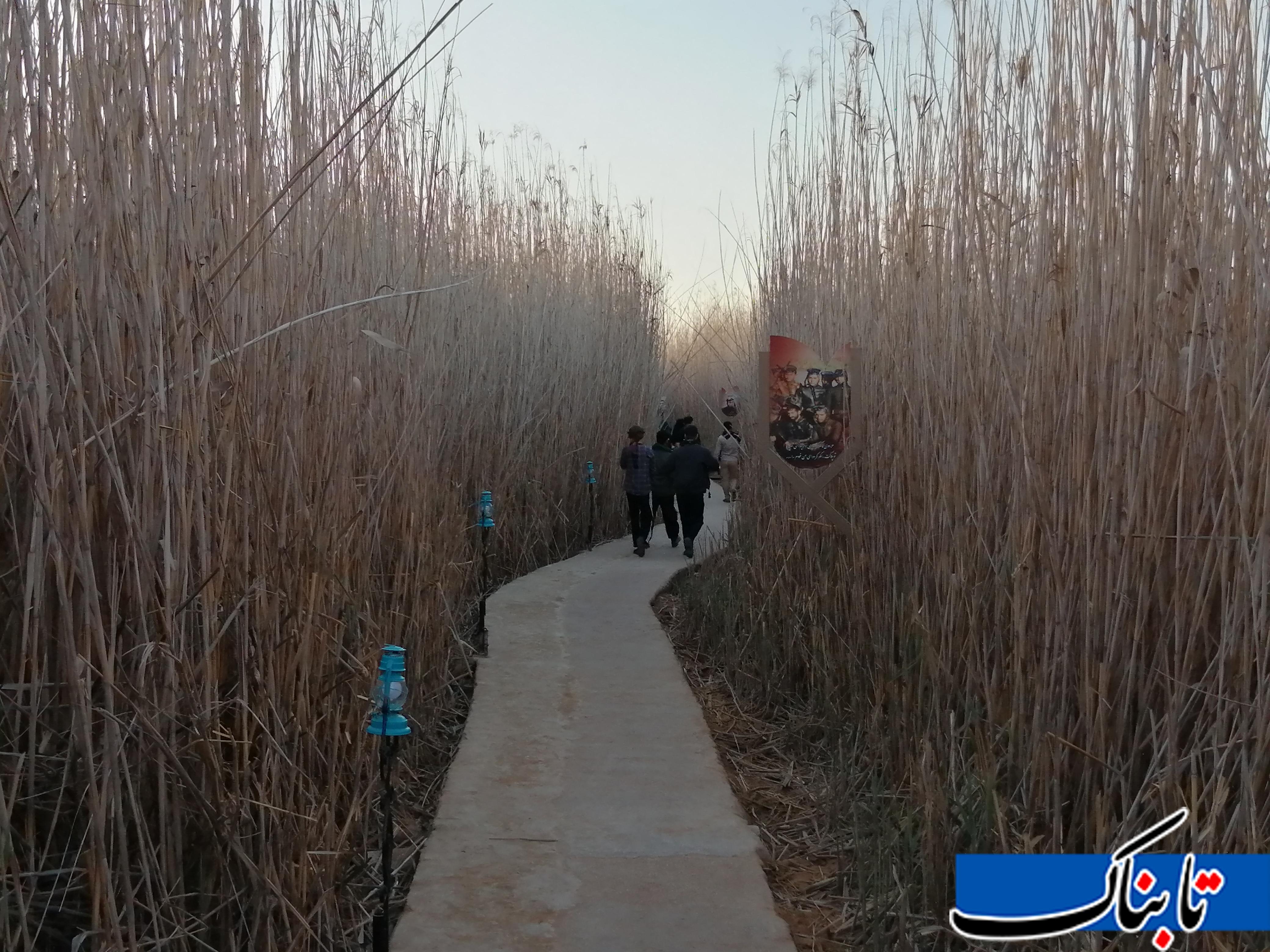 گزارش تابناک از یادمان شهدای کربلای ۴/کربلا فقط یک&zwnj;سلام!