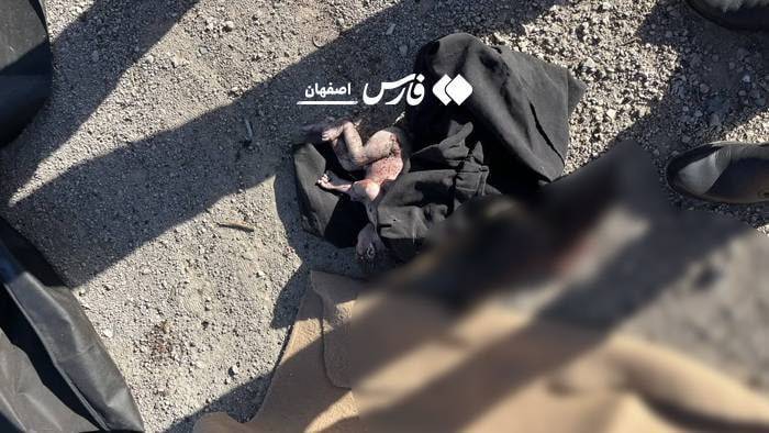 انهدام پهپادهای اسرائیلی در همدان و اصفهان/ سامانه جایگزین &laquo;سوباشی&raquo; وارد فاز عملیاتی شد