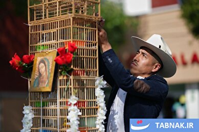 عکس: نذر پرندگان، امید زائران