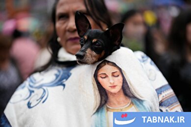 عکس: جشن نخل و آغاز هفته مقدس مسیحیان در سراسر جهان