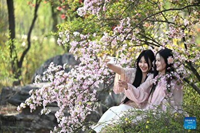 عکس‌های روز جهان:از دریچه تابناک