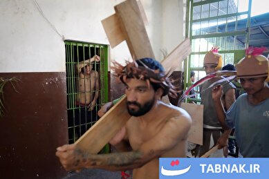 عکس: جشن نخل و آغاز هفته مقدس مسیحیان در سراسر جهان