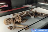 عکس: موزه باستانشناسی مردان نمکی