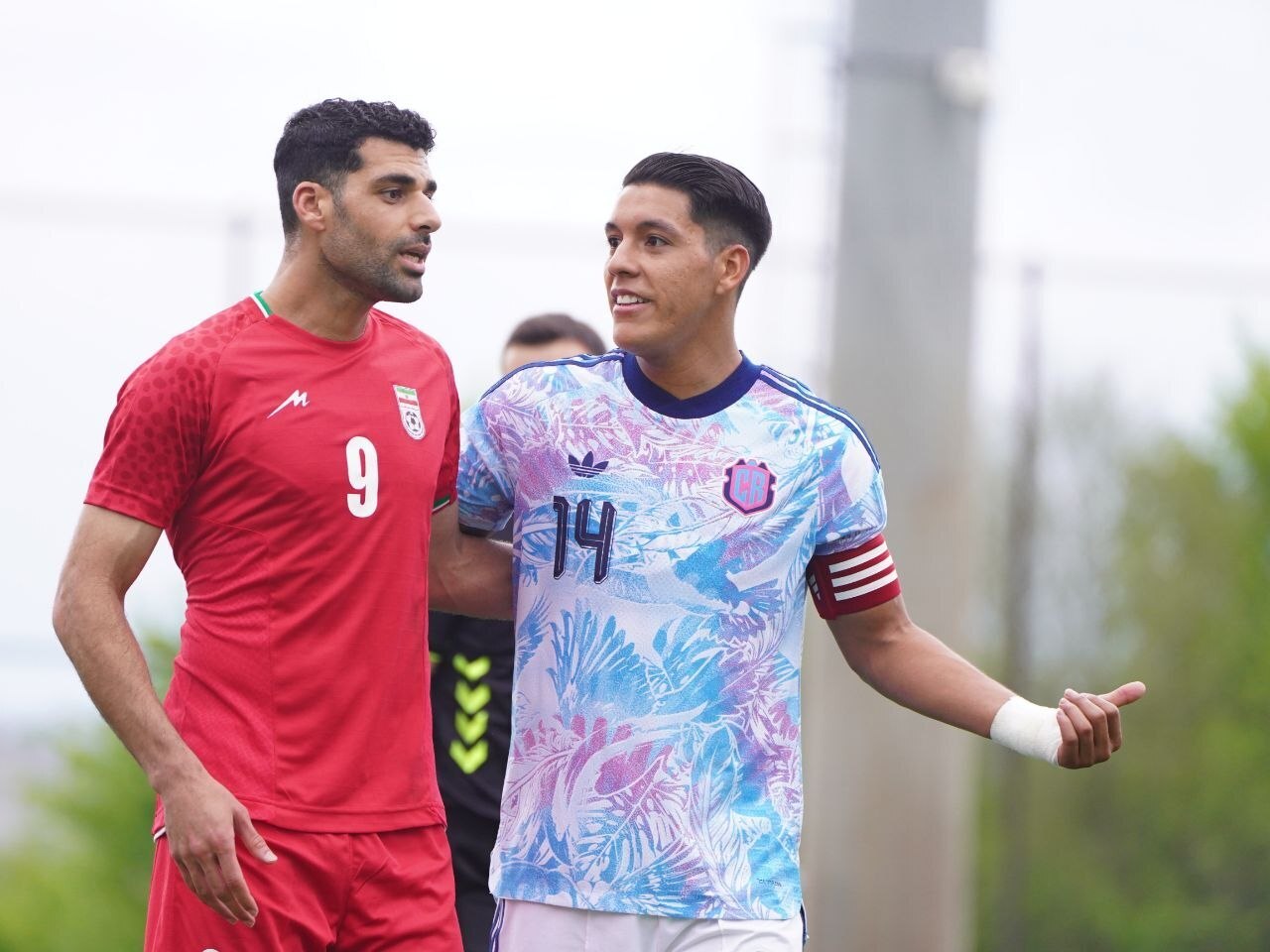 تراکتور در بن&zwnj;بست و ناچار به انصراف از لیگ نخبگان/ سرنوشت مبهم تیم ملی با ضد و نقیض تاج و دنیامالی