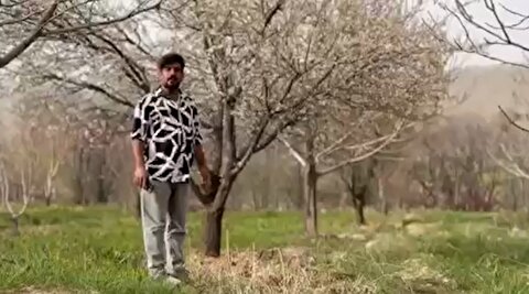 مژدگانی 10 میلیاردی برای یابنده خلبان آمریکایی