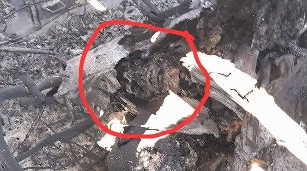 تصویر جسد سوخته در لاشه هواپیمای آمریکا در اصفهان