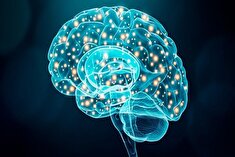 پیامدهای روانی جنگ و نقش تاب‌آوری و انسجام اجتماعی