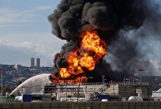 مهم‌ترین شرکت‌های پتروشیمی اسرائیل و ۵ کشور منطقه/ ۲۳ شرکت در تیررس موشک‌های ایران