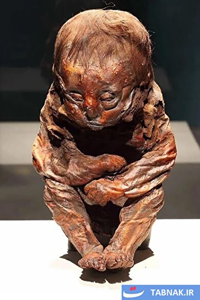 عکس: کودک دیتمولد: مسافری از ۶۵۰۰ سال پیش