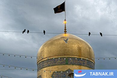 عکس: بارش باران بهاری در حرم مطهر رضوی