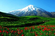 این سرو قد کشيده سرفراز خواهد ماند!/این سر قد کشيده بی نیاز خواهد ماند!