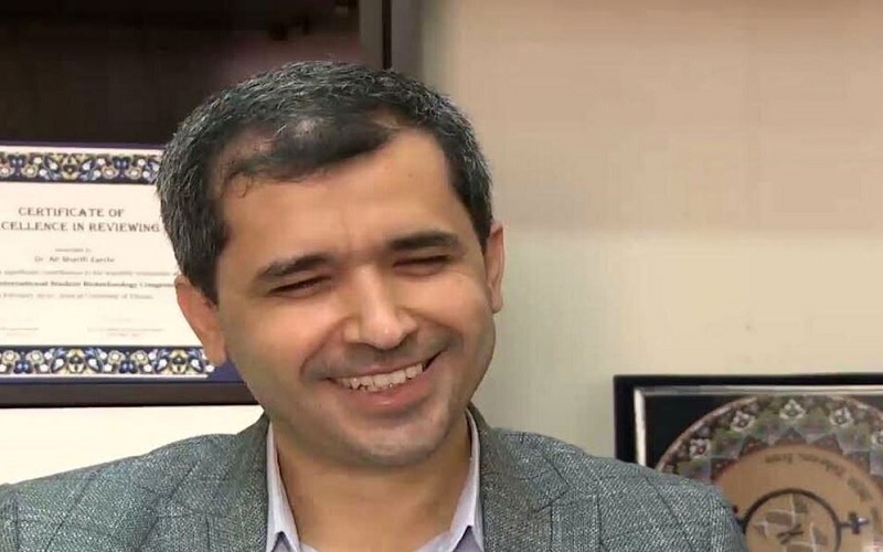 تناقض در تحلیل یا فراموشی مواضع؟ / وقتی برخی فعالان رسانهای نوشتههای چند روز قبل خود را به یاد نمیآورند تناقض در تحلیل یا فراموشی مواضع؟ / وقتی برخی فعالان رسانهای نوشتههای چند روز قبل خود را به یاد نمیآورند