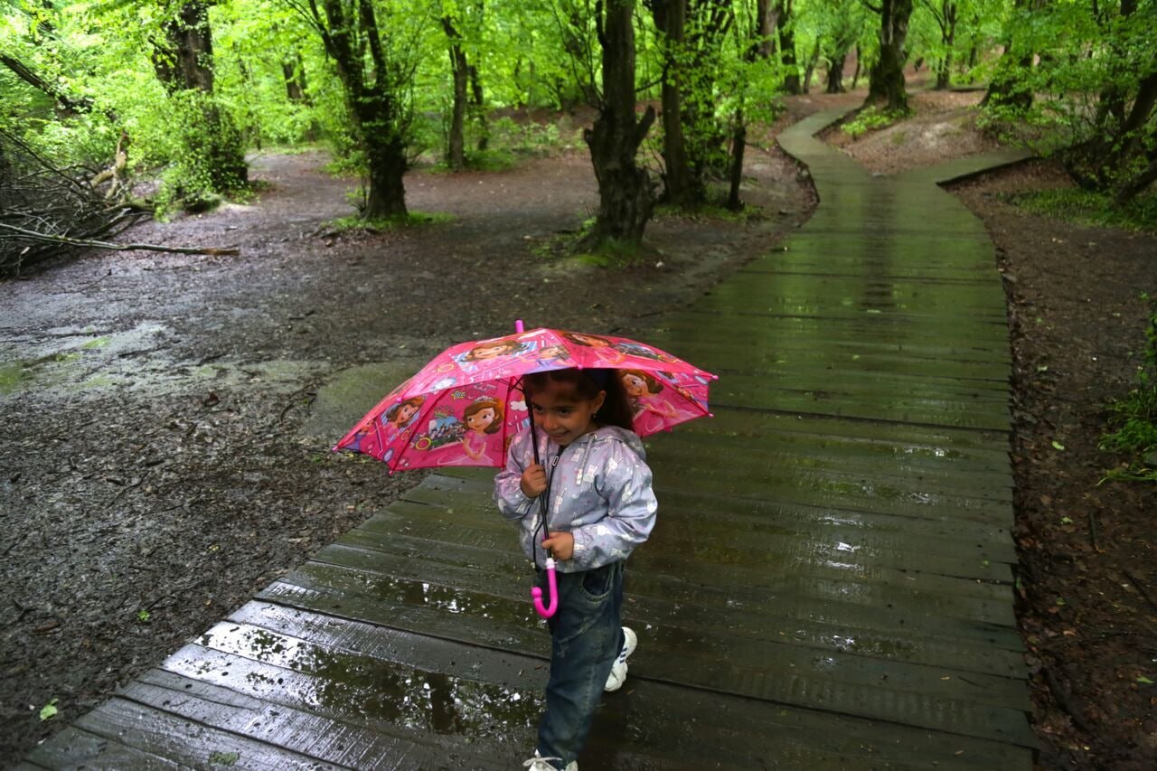 رگبار باران در شمال غرب و سواحل دریای خزر