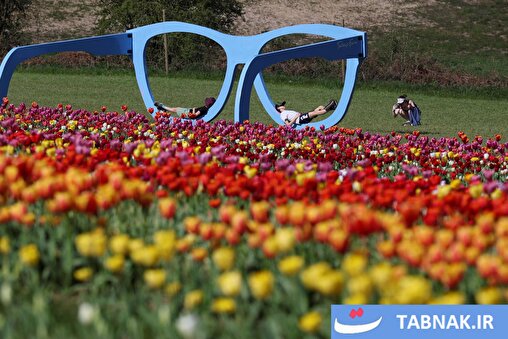 عکس‌های روز جهان:از دریچه تابناک