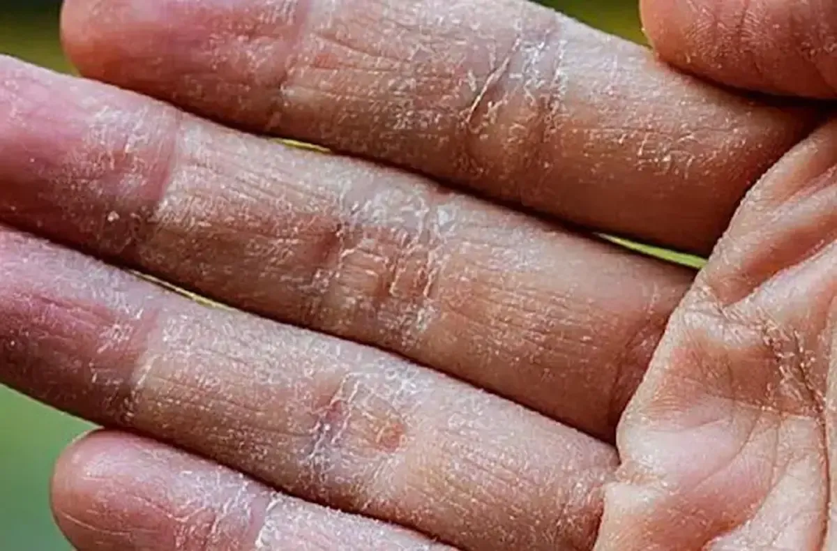 کدام حیوانات واقعاً خانگیاند؟