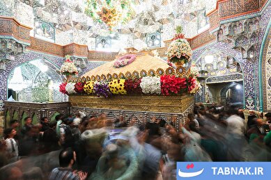 عکس: گل‌آرایی ضریح مطهر حرم حضرت معصومه(س)