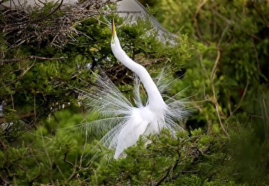 عکس:  منتخب لحظه‌های حیات‌وحش