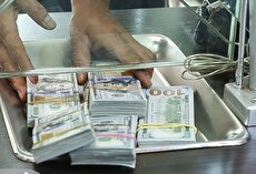 هیچ‌کس موافق چندنرخی شدن ارز نیست/ مصارف غیرقانونی ارز باید کنترل شود