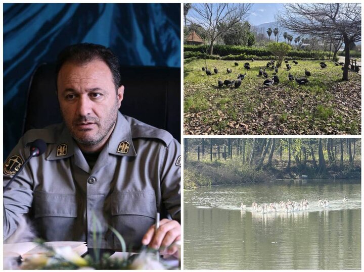 انتقال موقت پرندگان باغ پرندگان لویزان به مازندران