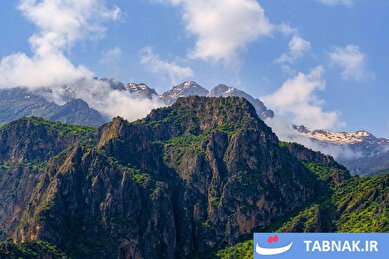 عکس: بهار در دامنه کوه شاهو‎