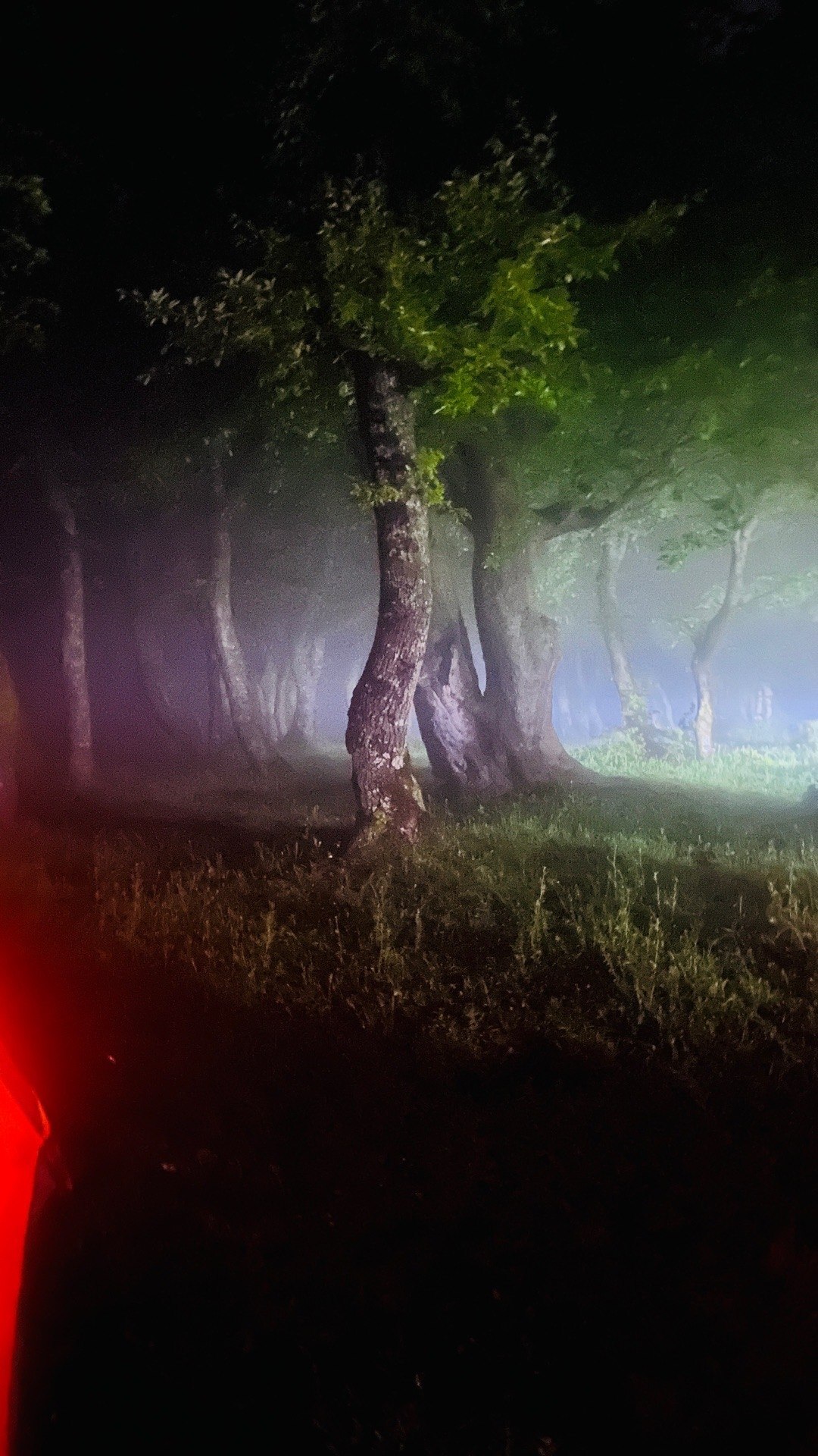 تصاویری از طبیعت زیبای ارتفاعات منجیل