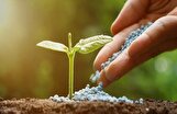 رونمایی از  فسفات‌‌های اشرافی / وقتی خاک ایران هم توان خرید کودهای وزارت جهاد را ندارد!