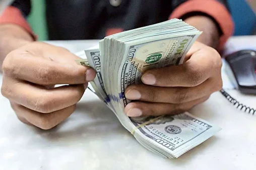 دلار ۱۱ هزار تومان ریخت/ هشدار بانک مرکزی؛ ریسک بازار ارز را جدی بگیرید/ پشت پرده افزایش خرید و فروش «ریال عمان»