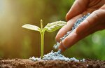 رونمایی از  فسفات‌‌های اشرافی / وقتی خاک ایران هم...