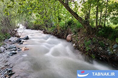 عکس: طبیعت بهاری «طارُم»، هندوستان ایران