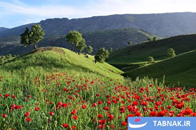عکس:مخمل‌کوه؛ بهشت سبز لرستان